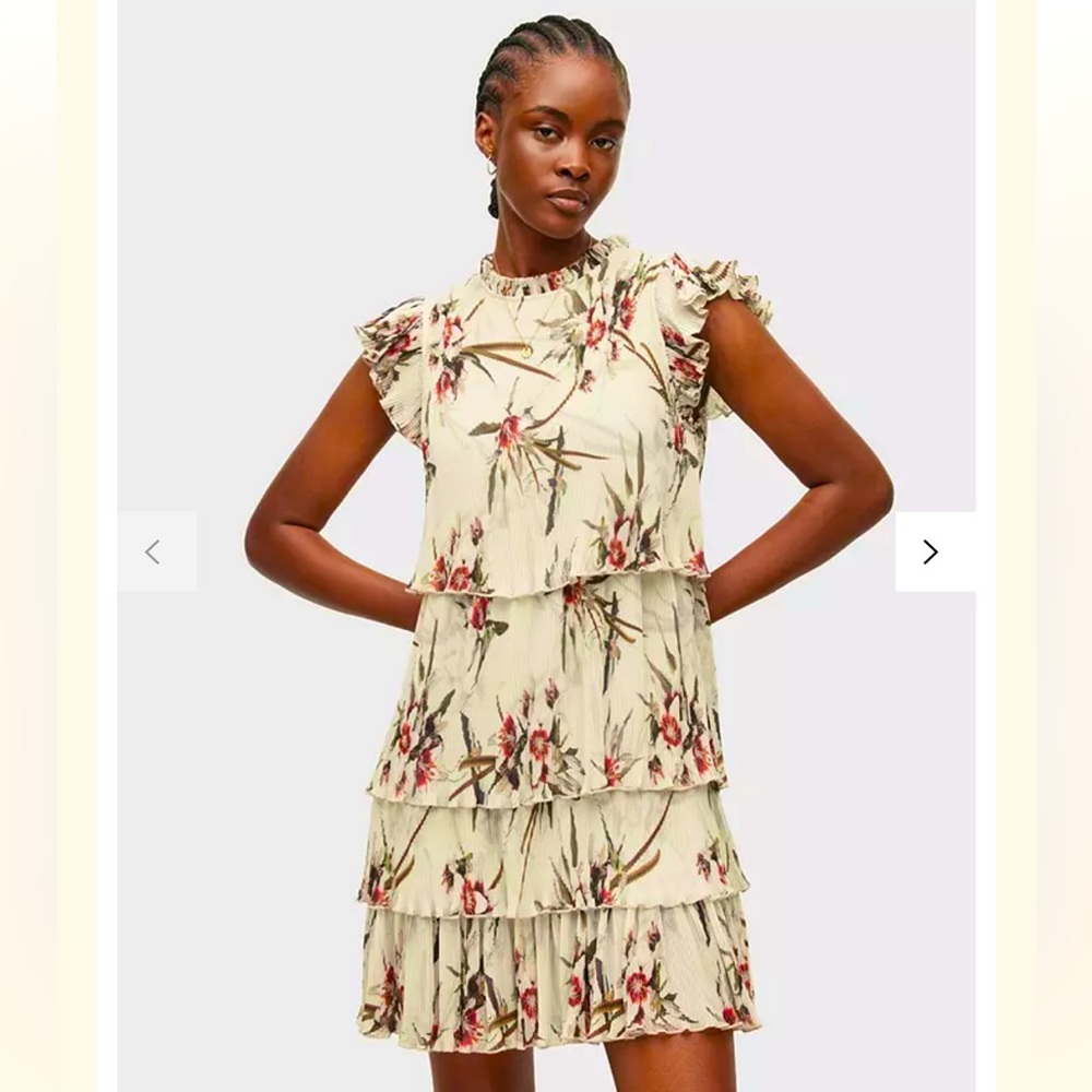 Allsaints Antheia Dorada Floral Dress